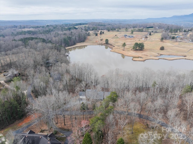 drone / aerial view with a forest view and a water view