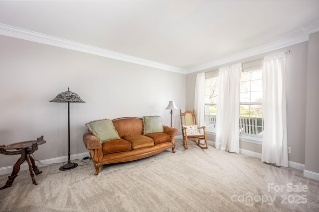 sitting room featuring ornamental molding, baseboards, and carpet floors