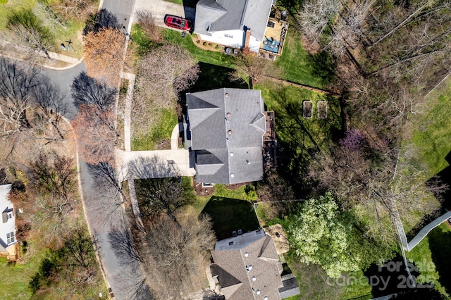 bird's eye view