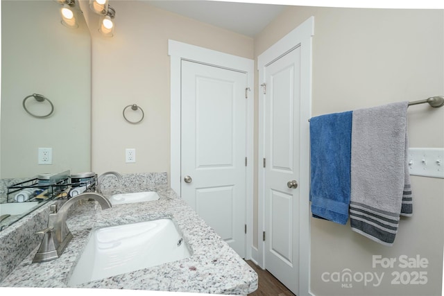 bathroom with double vanity, wood finished floors, and a sink