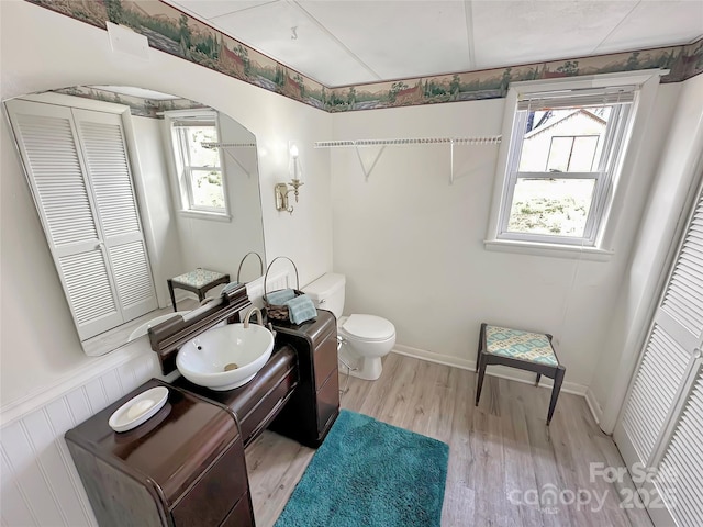 bathroom featuring a closet, toilet, wood finished floors, and vanity