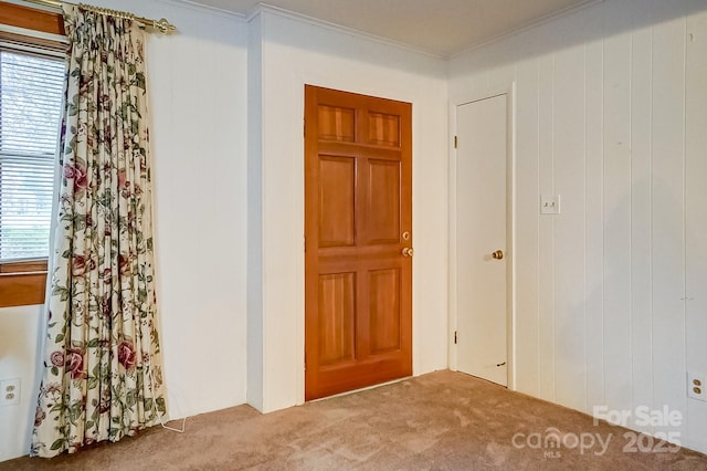 carpeted spare room with wooden walls, a healthy amount of sunlight, and ornamental molding