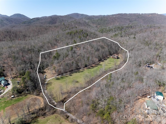 bird's eye view featuring a mountain view and a view of trees