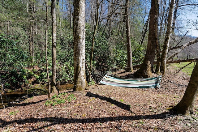 view of yard with a view of trees