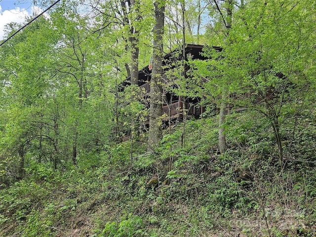 view of nature with a forest view