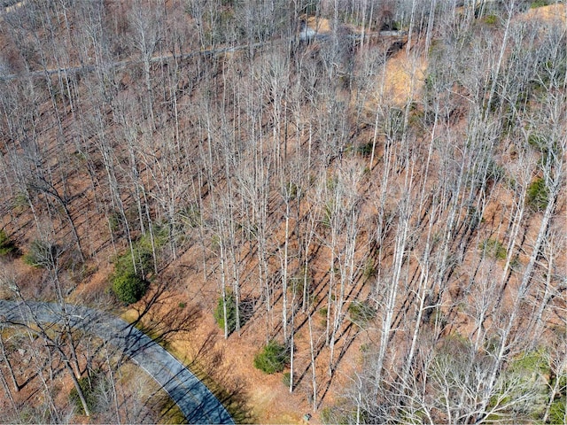 Listing photo 3 for 00 Chattooga Run Unit 292R, Hendersonville NC 28739