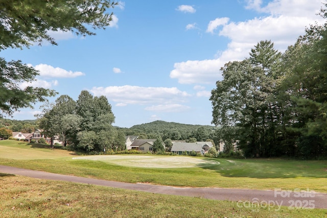 view of community with a yard