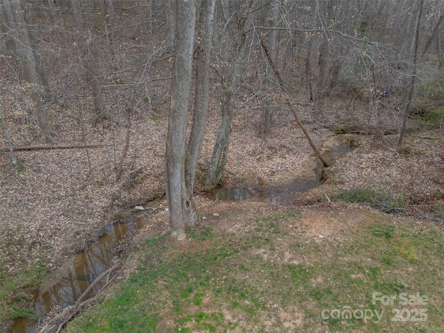 view of local wilderness