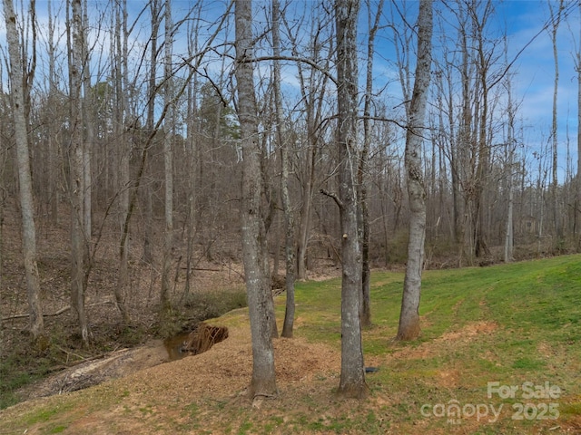 view of nature with a wooded view