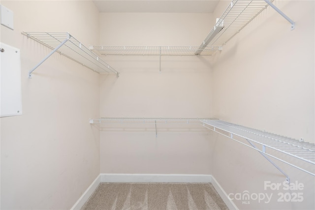 spacious closet with carpet floors