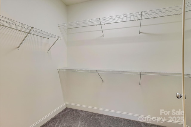 spacious closet featuring dark colored carpet