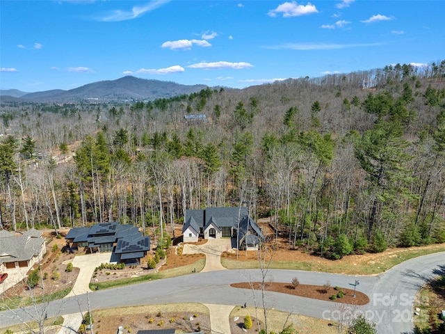 205 Kelmscott Ln, Asheville, NC 28803 - photo 40