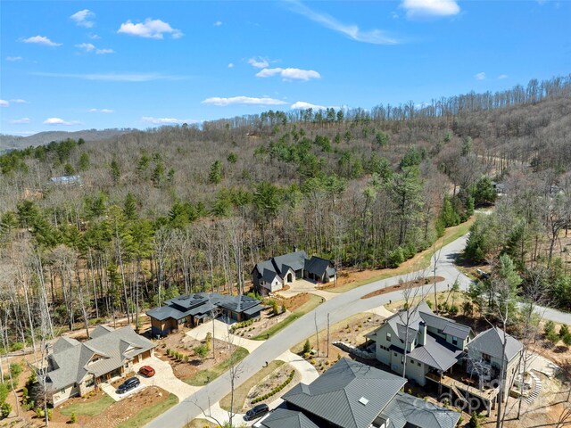 205 Kelmscott Ln, Asheville, NC 28803 - photo 41