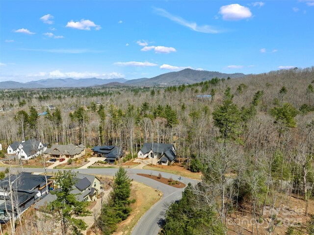 205 Kelmscott Ln, Asheville, NC 28803 - photo 42