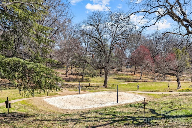 view of property's community featuring volleyball court and a lawn