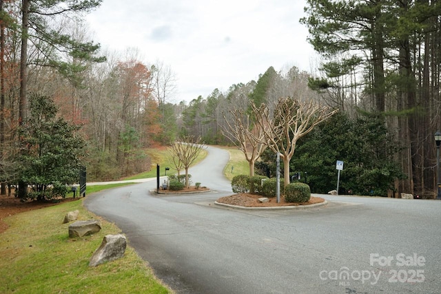 Listing photo 3 for LOT10 Webbs Chapel Cove Ct, Denver NC 28037