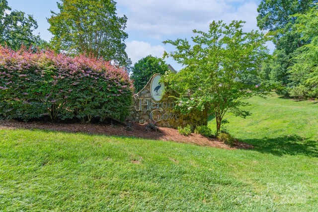 303 Ridge Reserve Dr Unit 29, Clover, SC 29710 - view of green lawn