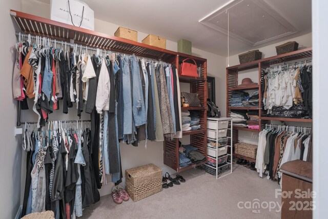 303 Ridge Reserve Dr Unit 29, Clover, SC 29710 - spacious closet featuring attic access and carpet floors