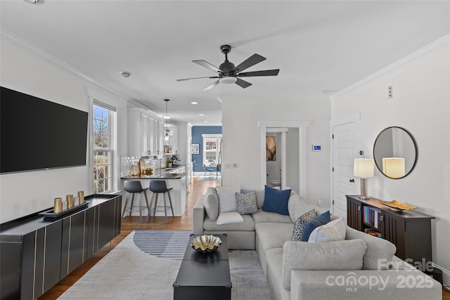 living area featuring a ceiling fan, crown molding, and wood finished floors