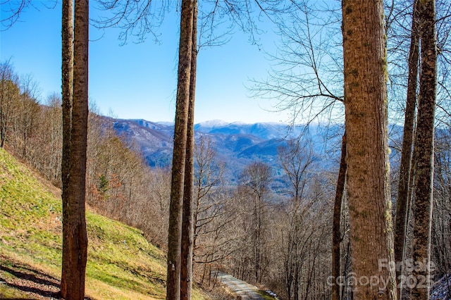 mountain view with a wooded view