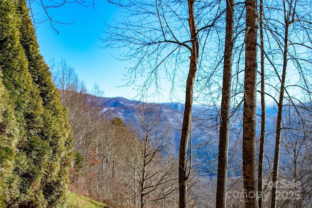 view of mountain feature with a wooded view