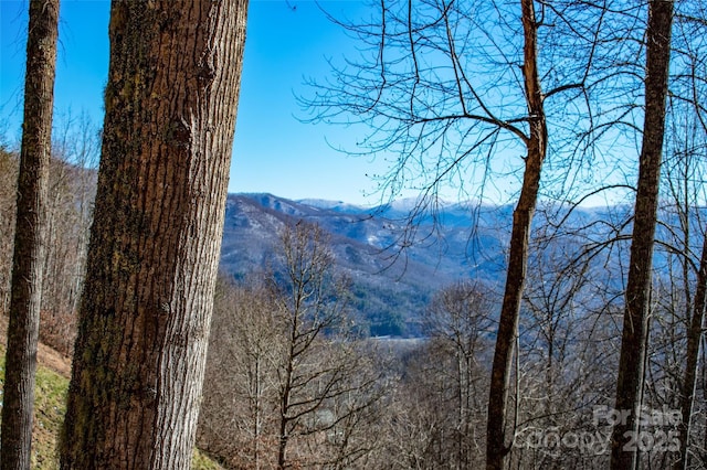 mountain view featuring a wooded view