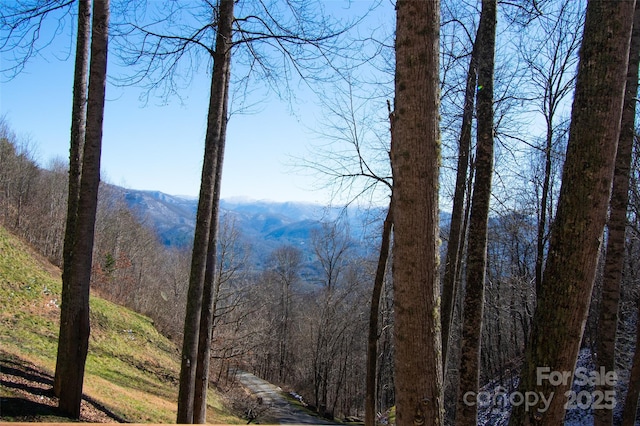 mountain view featuring a forest view