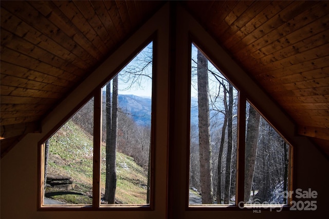 details with a mountain view and wood ceiling