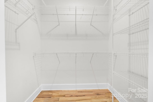 walk in closet featuring light wood finished floors