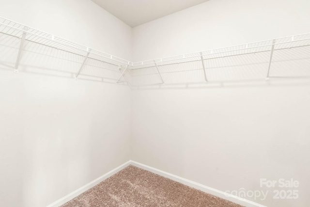 spacious closet with carpet floors