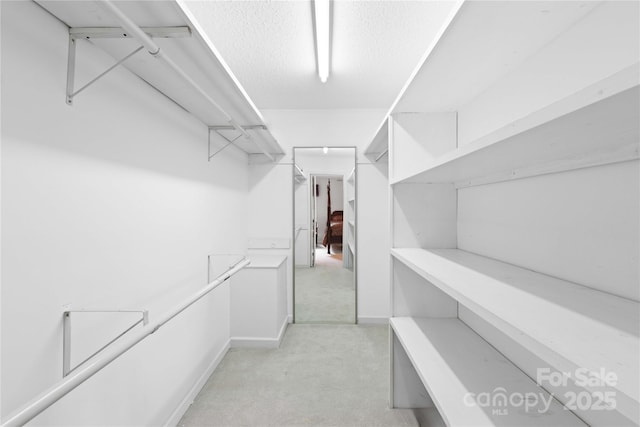 spacious closet with light carpet