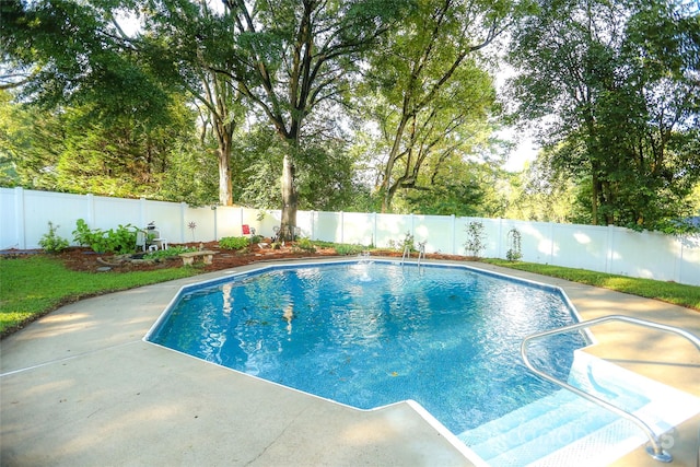 view of pool with a patio area, a fenced backyard, and a fenced in pool