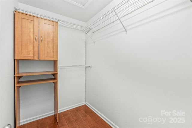 walk in closet featuring dark wood-style floors