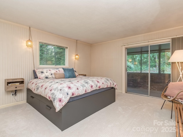 109 Joe Teague Rd, Hickory, NC 28601 - bedroom featuring access to outside, ornamental molding, and light colored carpet