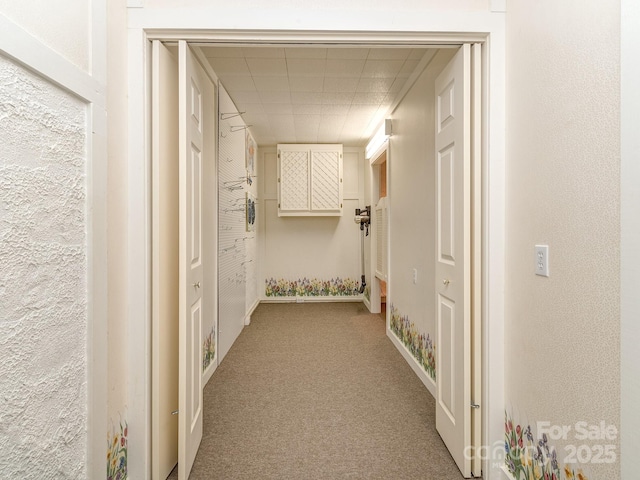109 Joe Teague Rd, Hickory, NC 28601 - corridor with light carpet and a paneled ceiling