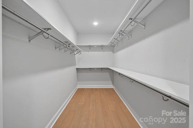 spacious closet featuring light wood-style flooring