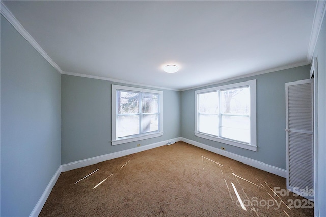 interior space with carpet, crown molding, and baseboards