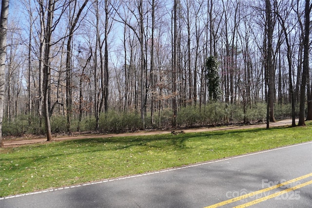 10835 Wildlife Rd, Charlotte, NC 28278 - photo 21