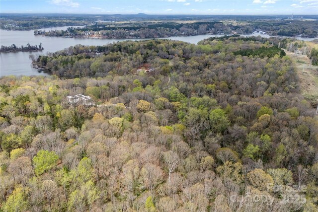 10835 Wildlife Rd, Charlotte, NC 28278 - photo 11