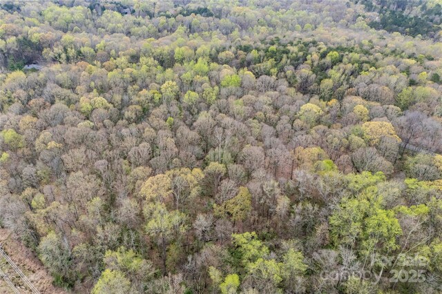 10835 Wildlife Rd, Charlotte, NC 28278 - photo 8