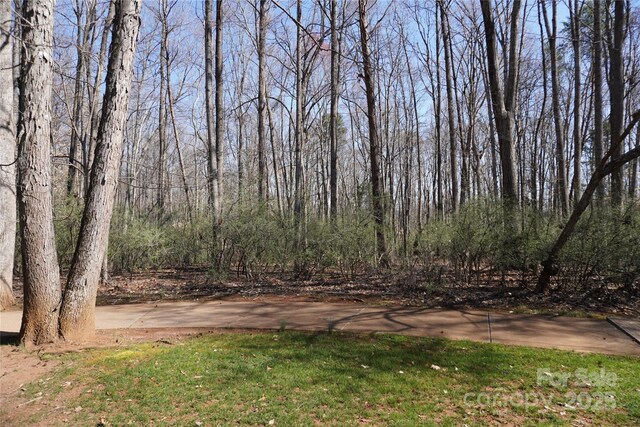 10835 Wildlife Rd, Charlotte, NC 28278 - photo 18