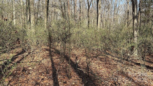 10835 Wildlife Rd, Charlotte, NC 28278 - photo 22