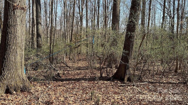 10835 Wildlife Rd, Charlotte, NC 28278 - photo 23