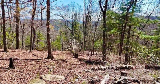 830 Fortescue Rd, Zirconia, NC 28790 - view of nature