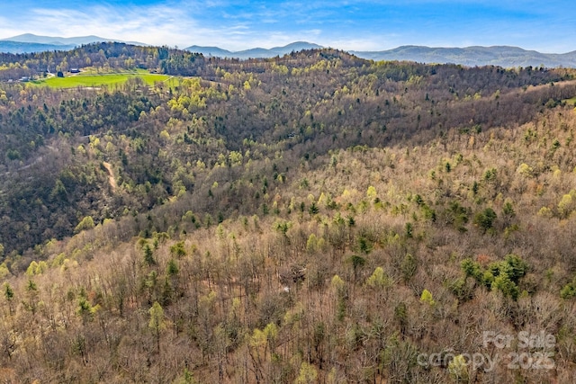 830 Fortescue Rd, Zirconia, NC 28790 - property view of mountains featuring a wooded view