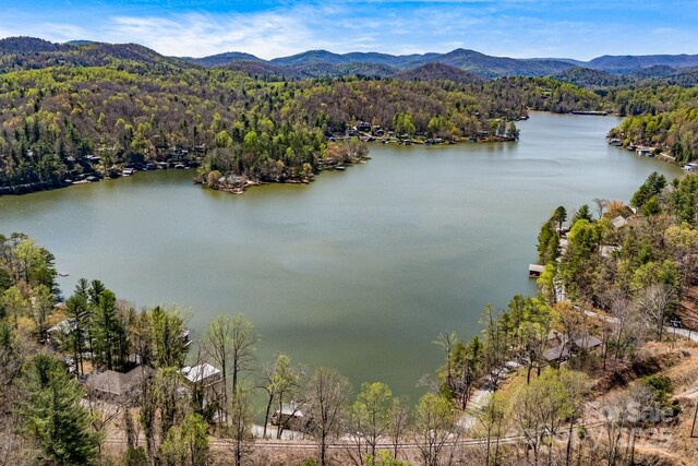 830 Fortescue Rd, Zirconia, NC 28790 - aerial view with a forest view and a water and mountain view