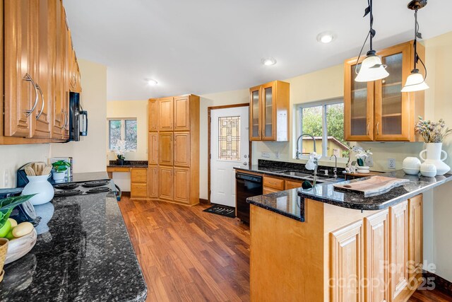 830 Fortescue Rd, Zirconia, NC 28790 - kitchen featuring a peninsula, dark wood-style floors, a sink, and black appliances