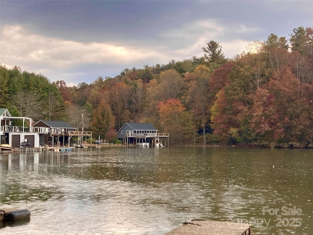 830 Fortescue Rd, Zirconia, NC 28790 - dock area with boat lift, a view of trees, and a water view