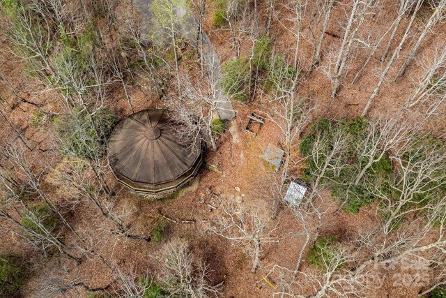 830 Fortescue Rd, Zirconia, NC 28790 - view of details