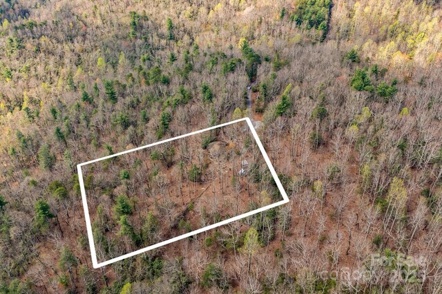 830 Fortescue Rd, Zirconia, NC 28790 - drone / aerial view